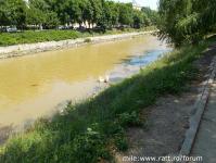 Imagine atasata: 29.06.2014 30.jpg
